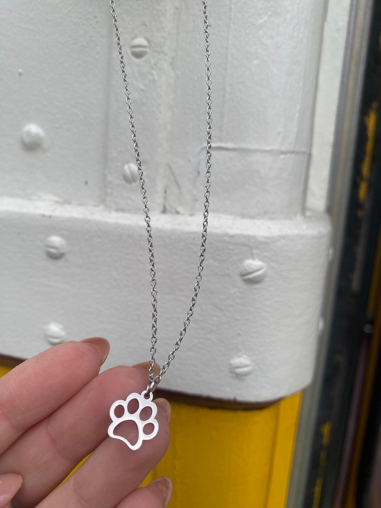 Colar Silver Paw