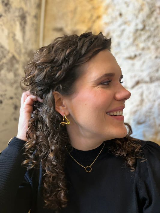 Brincos Elegant Gold